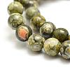 Natural Rhyolite Jasper Bead Strands G-G684-01-6mm-3