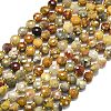 Natural Crazy Agate Beads Strands G-K389-B71-01-2