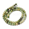 Natural Serpentine Bead Strands G-N166-6-1-3