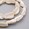 Natural Shell Bead Strands BSHE-P021-04-3