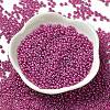 Baking Paint Glass Seed Beads SEED-P006-03A-07-2