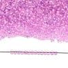 TOHO 11/0 Round Beads X-SEED-TR11-2724-4