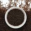 12/0 Glass Seed Beads SEED-A005-2mm-53-2