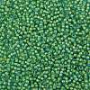 TOHO Round Seed Beads SEED-XTR08-0307-2