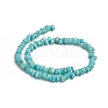 Shell Beads Strands BSHE-G026-02-3