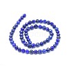 Natural Lapis Lazuli Beads Strands G-I249-B11-03-2