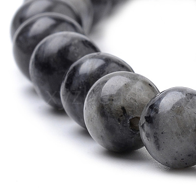 Natural Larvikite Beads Strands X-G-S259-06-6mm-1