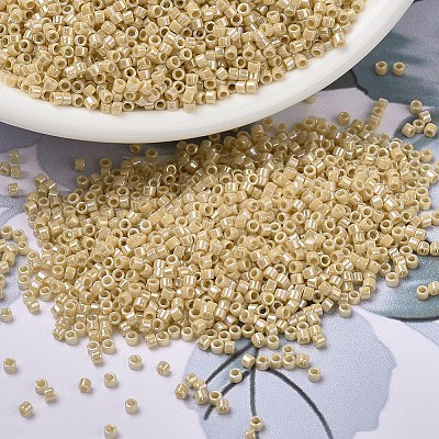 MIYUKI Delica Beads SEED-MY11-DB1571-1