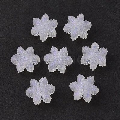 Transparent Acrylic Beads OACR-P007-30-1