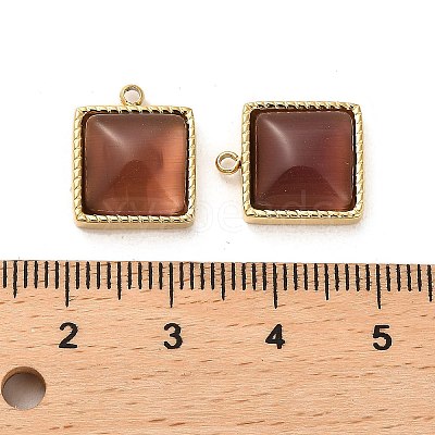 304 Stainless Steel Charms STAS-L022-075G-1