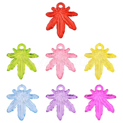 Transparent Acrylic Pendants PL711Y-1