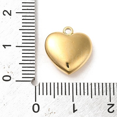 304 Stainless Steel Charms STAS-L022-239G-1