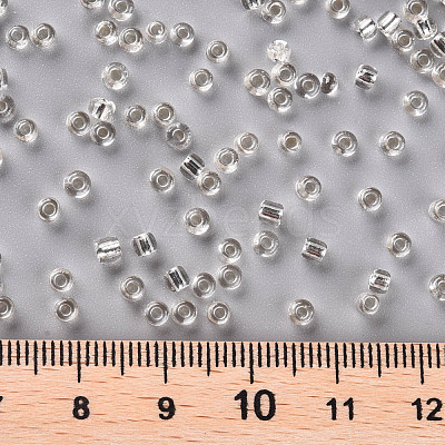 (Repacking Service Available) 8/0  Glass Seed Beads SEED-C014-3mm-21-1