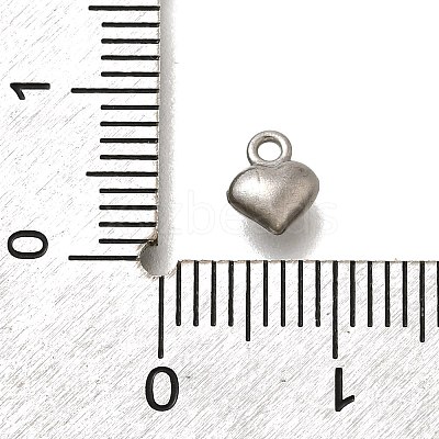 304 Stainless Steel Charms STAS-D310-06P-03-1