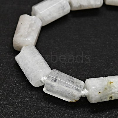 Natural Rainbow Moonstone Beads Strands G-O170-121-1