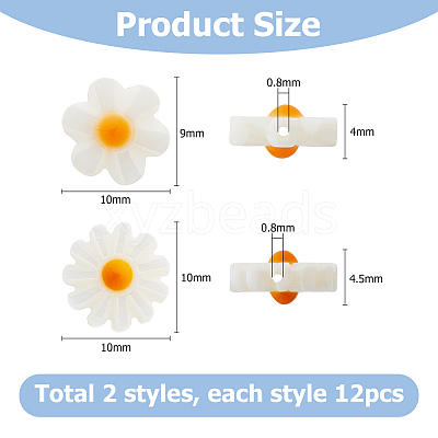 24Pcs 2 Styles Natural Freshwater Shell Beads SHEL-HS0001-05-1