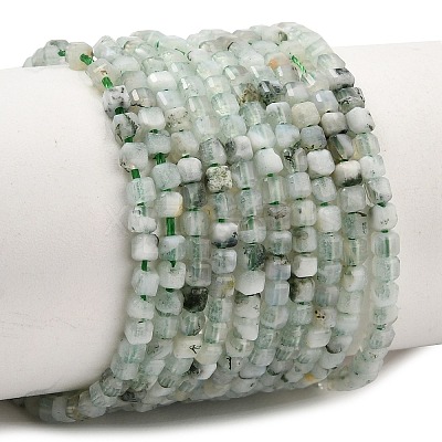 Natural Tree Agate Beads Strands GG-CBA0C5B-A01-1