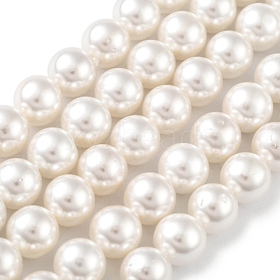 Shell Pearl Bead Strands X-BSHE-L026-03-8mm-1