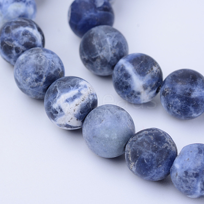 Natural Sodalite Beads Strands X-G-Q462-10mm-07-1