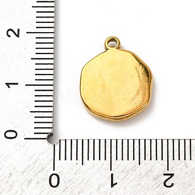 304 Stainless Steel Pendants STAS-I348-02G-02-1