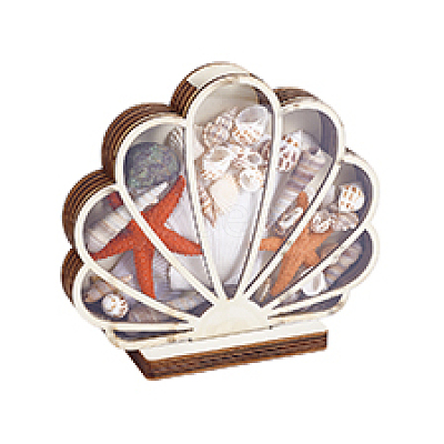 Wood & Acrylic Shell Shape Display Box AJEW-WH0650-32-1