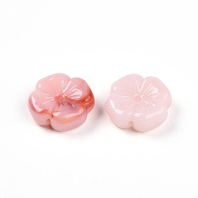 Transparent Acrylic Beads TACR-T028-40B-1