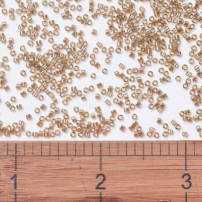 MIYUKI Delica Beads SEED-MY11-DB1221-1