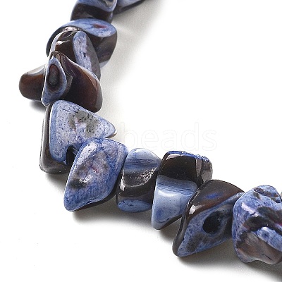 Dyed Natural Trochus Shell Beads Strands BSHE-Z006-01C-1
