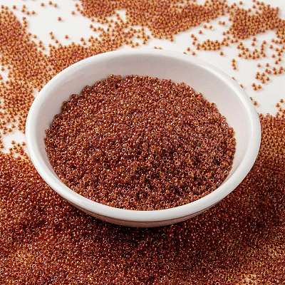 MIYUKI Round Rocailles Beads SEED-X0056-RR0235-1