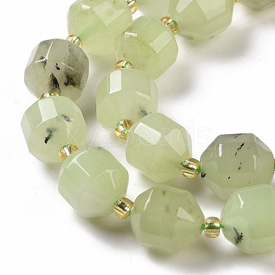 Natural Prehnite Beads Strands G-G990-F09-1