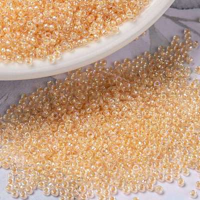 MIYUKI Round Rocailles Beads X-SEED-G009-RR0282-1