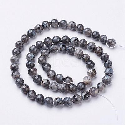 Natural Larvikite Beads Strands GSR6mmC128-1