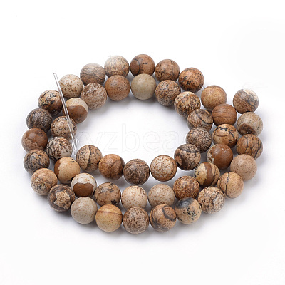 Natural Picture Jasper Beads Strands G-S259-27-10mm-1