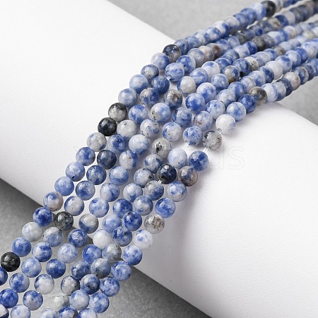 Natural Blue Spot Jasper Beads Strands G-Z116-A02-3mm-1