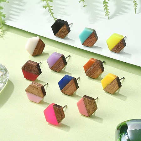 Resin & Walnut Stud Earrings EJEW-R013-01P-1