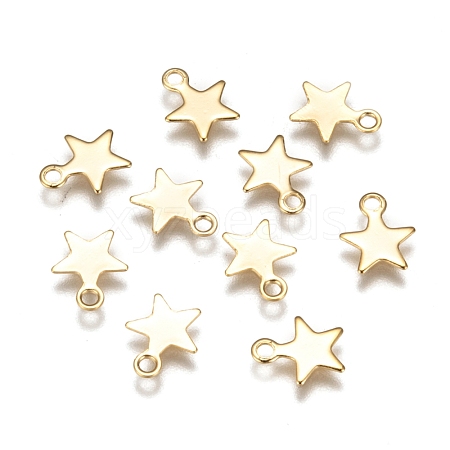 304 Stainless Steel Charms STAS-F159-43G-1