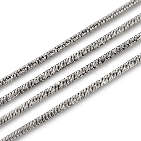 Tarnish Resistant 3.28 Feet 304 Stainless Steel Round Snake Chains X-CHS-K001-06-1