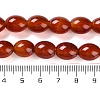 Natural Carnelian Beads Strands G-NH0019-C01-02-5