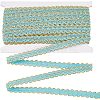 Sparkle Polyester Metallic Lace Trim OCOR-WH0074-93A-1