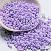 Macaron Color Opaque Frosted Glass Seed Beads SEED-K009-12B-14-1