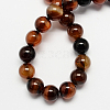 Natural Agate Bead Strands G-R173-10mm-05-2