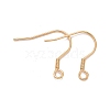 304 Stainless Steel Earrings Hooks X-STAS-P227-06G-1