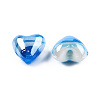 Handmade Lampwork Beads LAMP-R102-14A-2