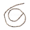 Natural Dalmatian Jasper Beads Strands G-A201-B12-2