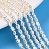 Natural Cultured Freshwater Pearl Beads Strands PEAR-N014-03F-01-2