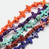 Dyed Synthetical Turquoise Cross Bead Strand G-P083-86-1