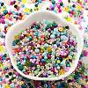 Glass Seed Beads SEED-XCP0001-21-3