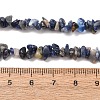 Natural Sodalite Chips Beads Strands F024-7