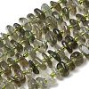 Natural Green Quartz Beads Strands G-L649-C03-01-2