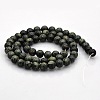 Natural Kambaba Jasper Beads Strands G-N0120-09-6mm-2